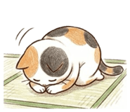 888444640