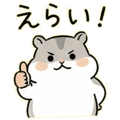 888457036