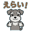 888457116