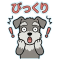 888457140