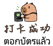 888459251