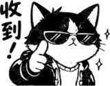 888480581
