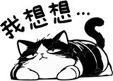 888480584