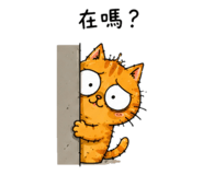 888493138
