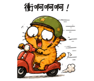 888493150
