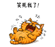 888493159