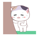 888499816