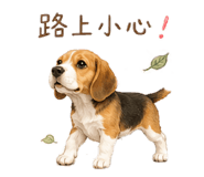 888499933