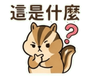 888501251