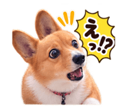 888520932