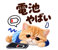 888528076