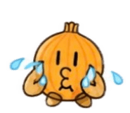 888529954