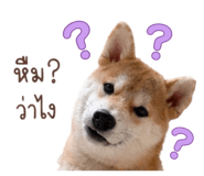 888554179