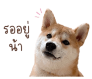 888554180