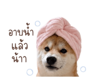 888554181