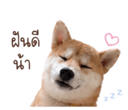 888554182