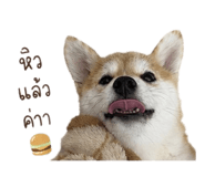 888554193
