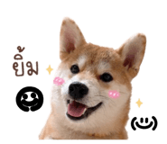 888554196