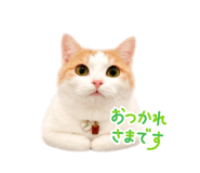 888623702