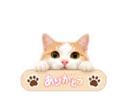 888623705