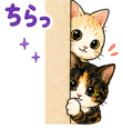 888664056