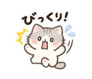 888685575