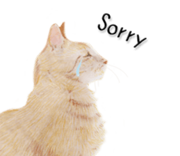 8886903