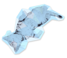8886907