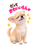 888692088