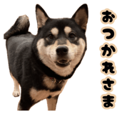 888693949