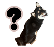 888693951