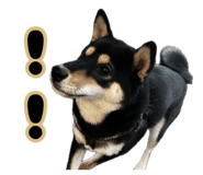 888693959