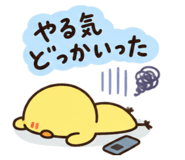 888694006