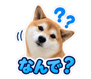 888694561