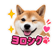 888694564