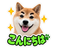 888694566