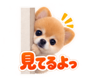 888702948