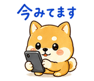 888702969