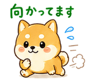 888702972