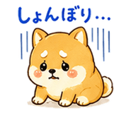 888702981
