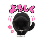 888703200