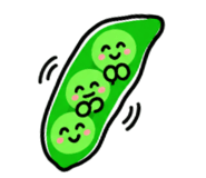 888704035