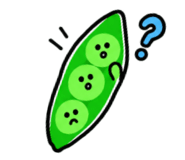 888704039