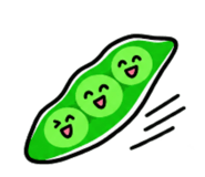 888704055