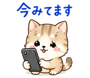 888704153