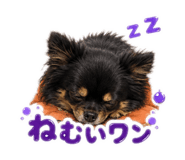 888719782