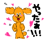 888721039