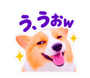888721051