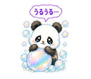 888721244
