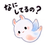 888721481